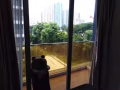 迎双11阿裕尼带阳台普通房促销出租！可住两人 价格惊喜！手慢无！