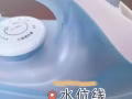 蒸汽電熨斗，乾濕兩用