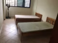 淡滨尼大牌902普通房出租 包水电网