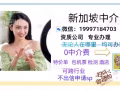 把以下文字轉發到微信朋友圈 加 V信19997184703 領紅包