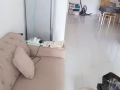 出租石龍崗別墅搭房