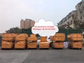 中国--新加坡，马来西亚，空运海运专线，专业，专注—值得信赖！