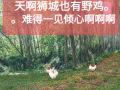 新新网  收藏  充值  广告 新新网  免费发布  我的广告3  我的收藏0