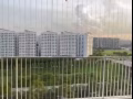 执行公管出售