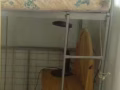 搬家家具家電全部超低價處理