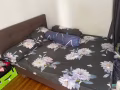 双人床架和床垫