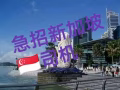 急聘三號司機  81561549