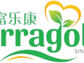 中醫集團招聘推拿師 WP/SP 馬上安排面試