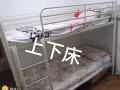丹那美拉男女床位出租