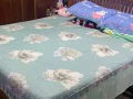 主人房出租