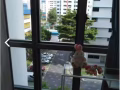 阿裕尼正地铁站全新公寓