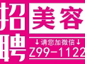 新加坡本地中介，立马申请不成功不收费。收费超低，微信：Z99-1122