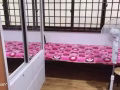 1分钟到海军部地铁站有女搭房出租。请电91505796。