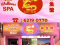 市区纯正规一号养生馆 招聘女按摩师  要求手法好 电话  91386595