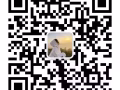 專注辦理新加坡，老僱主下籤快，收費低，微信詳詢zx22962019
