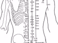 男推拿按摩治疗师。有证书，上门服务。具体看资料。谢谢欢迎预约