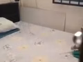 牛車水單間出租