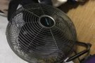 风扇25元处理，勿洛自取85236934