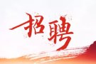 招兵买马，新加坡工作机会！欢迎新马公民/新加坡PR面试！