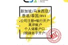 新加坡+马来西亚+香港+BVI注册公司+视频开户 (多种货币无限额/高效率)