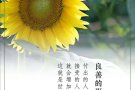寻找聊天女伙伴