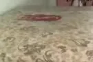 甩甩甩