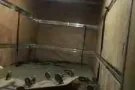 专业搬家 丢垃圾  清理 带工人 速度快 价格合理  8169 5999