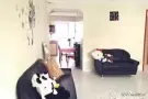 ~~~~步行三分钟文庆地铁站3+2超大组屋 超大普通房 立即入住~~~~