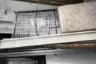 单人床架出售