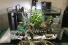 全套鱼缸设备加所有的小鱼，各个品种转让，有意者请联系：88589999