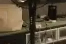 兀里九层新的电风扇