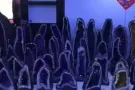新加坡主播直播平台女性