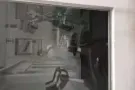 巴耶利岜和达科达地铁站都有高级公寓主人房女床位出租，电话85152251