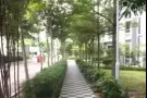 文庆靠近地铁现在出租一位男上铺