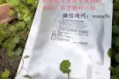 DR SUNG面膜，你我的值得信赖的品牌！