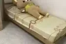 近中央医院，中巴鲁超大普通房招搭房。