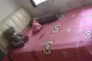 房子到期，所有东西处理三巴旺自取