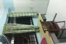 淡滨尼大间普通房出租BLK496 只限一名女生