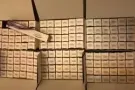 Gemsho睫毛膏，生长睫毛的睫毛膏，新品上市批发零售