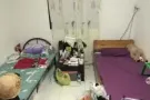 麦波申大牌22 女床位出租