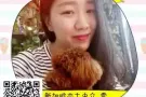 本土中介，公司在麦博申，收费1.5--1.8W  微信 006583065479