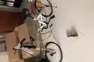 全新折叠自行车