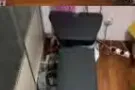 健身椅，哑铃，杠铃