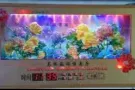 便宜万年历挂钟出售，给钱就卖