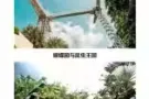圣淘沙20个景点实体套票