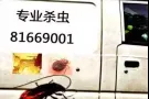 正规专业喷雾式杀臭虫，黑、白蚂蚁，蟑螂，木虱，蛀虫，杀绝后付款，另批杀虫药
