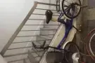本人因回国出售自行车?出售50