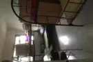招男生，一个人$250，家里只租四个人