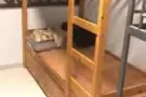 勿洛新房招租
