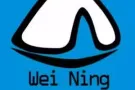 中国-新加坡，马来西亚海运空运双向专线